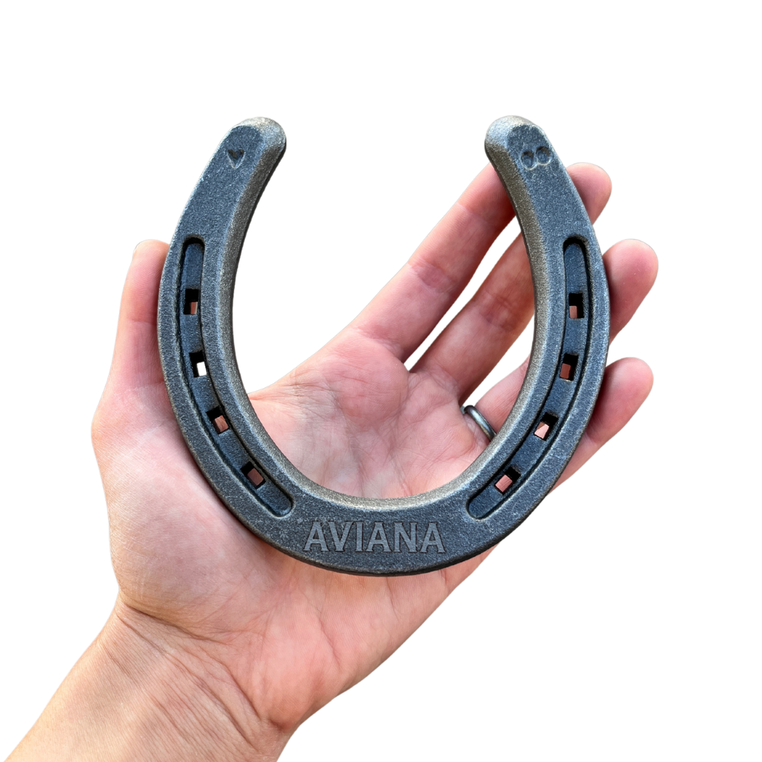 Personalized Lucky Horseshoe - Natural Metal Finish