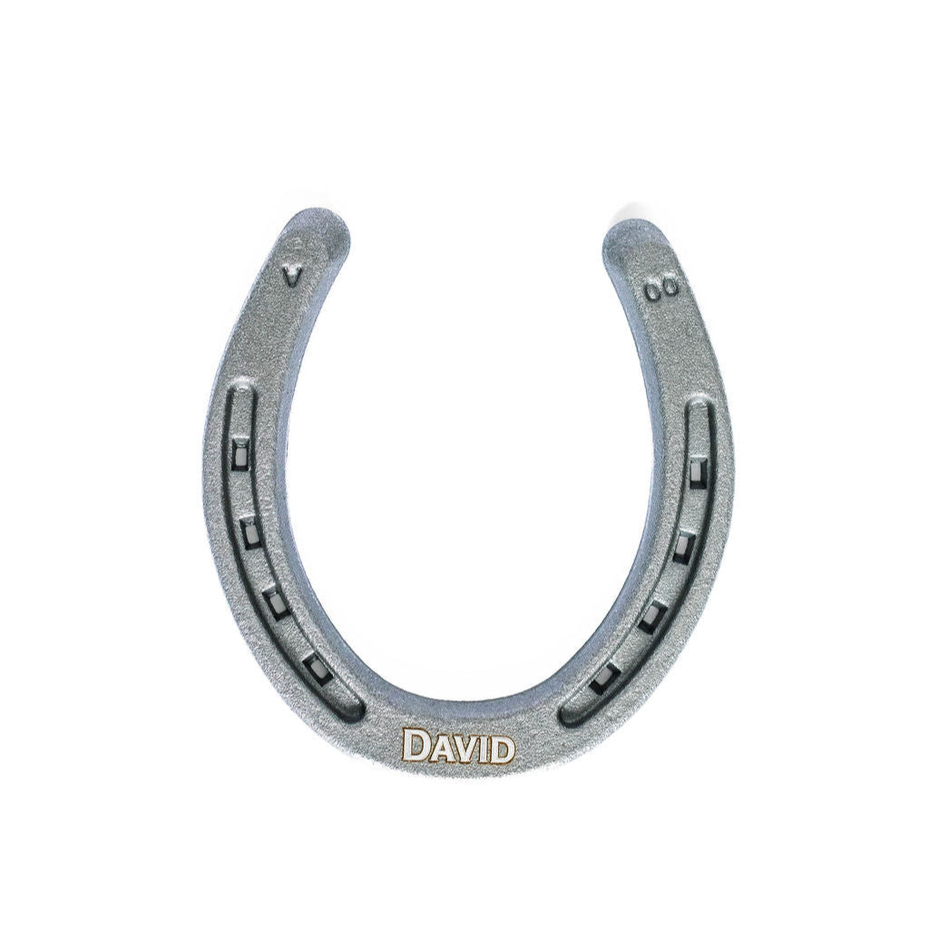Custom Engraved Horseshoe - Natural Metal Finish
