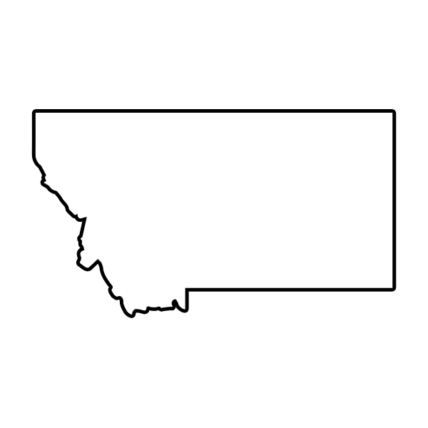 States of America Mini Branding Irons States Outlines - 1" Tall Straight Steel