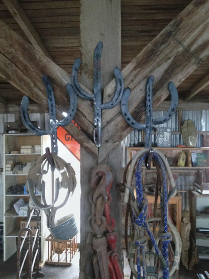 Rustic Horseshoe Cactus Hanger Hooks - Set of 3